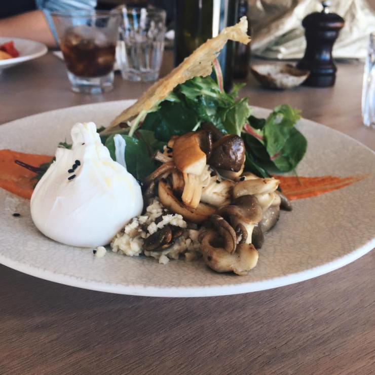 brekkie-of-champignons